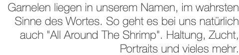 Garnelen liegen in unserem Namen, im wahrsten Sinne des Wortes. So geht es bei uns natürlich auch "All Around The Shrimp". Haltung, Zucht, Portraits und vieles mehr. 